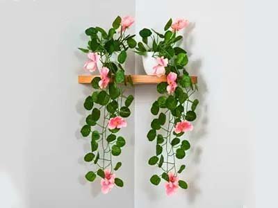 Best buy, efdbestbuy, www.efdbestbuy.com, efd best buy, efd bestbuy, efd-bestbuy, efd-best-buy, shopping advisor, efd shopping advisor, efd best buy shopping advisor, consult before buy, efd consult before buy, efd best buy consult before buy, artificial flower plant, faux flower pot, home décor plants, office décor plants, small artificial plant, hanging plant décor, indoor plant decoration, tabletop artificial plant, artificial potted plant, fake flower arrangement, home décor accessories, small plant for desk, living room décor plant, kitchen décor plant, bedroom artificial plant, office desk plant, décor plant for office, stylish artificial plant, low maintenance plant décor, artificial plant for shelf, fake plant for home, decorative plant with pot, indoor artificial flower, small decorative plant, hanging faux plant, tabletop plant décor, office desk décor, fake flower pot, artificial flower arrangement, office shelf plant, decorative plant for living room, modern artificial plant, mini artificial flower, small indoor plant décor, home office décor plant, artificial greenery décor, desk plant decoration, small fake plant, low maintenance artificial plant, home decoration ideas, artificial floral décor, small décor plant for office, decorative faux flower, artificial greenery for desk, interior décor plant, office table plant, modern home décor plant, artificial hanging plant, small potted artificial flower, decorative office plant, mini desk plant, artificial plant décor online, stylish faux plant, home décor ideas, small artificial flower pot, easy care fake plant, living room artificial plant, bedroom décor plant, office décor ideas, decorative mini plant, artificial plant gift, interior décor ideas, artificial plant for shelf, home décor accessories online, faux hanging plant, small office décor plant, artificial plant centerpiece, decorative plant for table, mini hanging plant, trendy artificial plant.