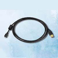 Cable & Adapter